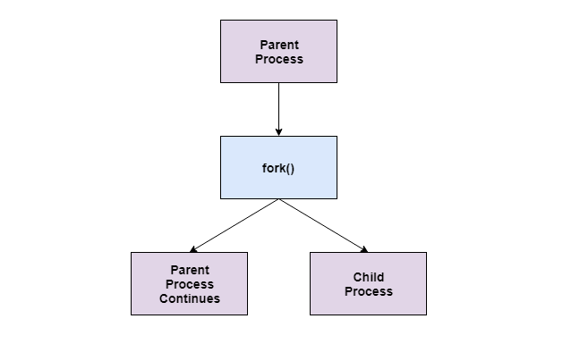 Parent and Child Process